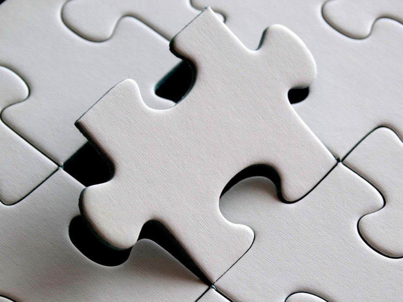 Puzzle of Life