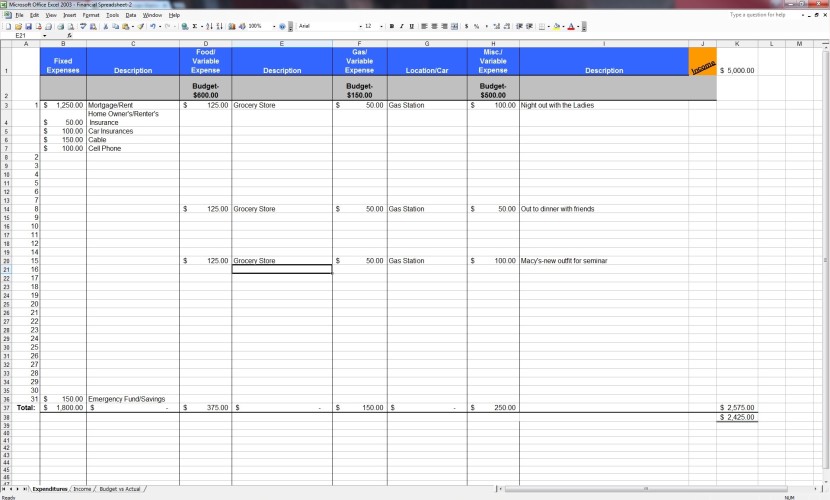 Financial Spreadsheet Example